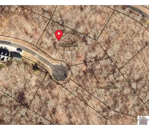 133 Float Ln, Murray, KY 42071 photo 2