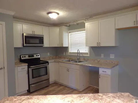 542 Lowes Rd, Cunningham, KY 42035 photo 13