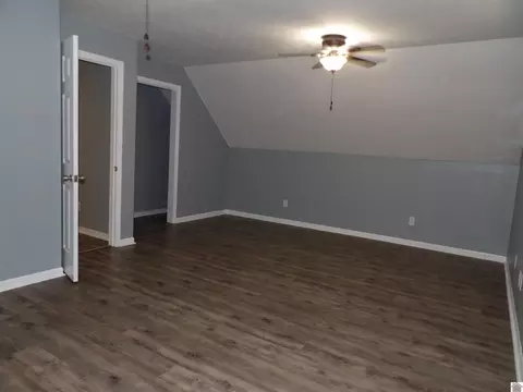 542 Lowes Rd, Cunningham, KY 42035 photo 26