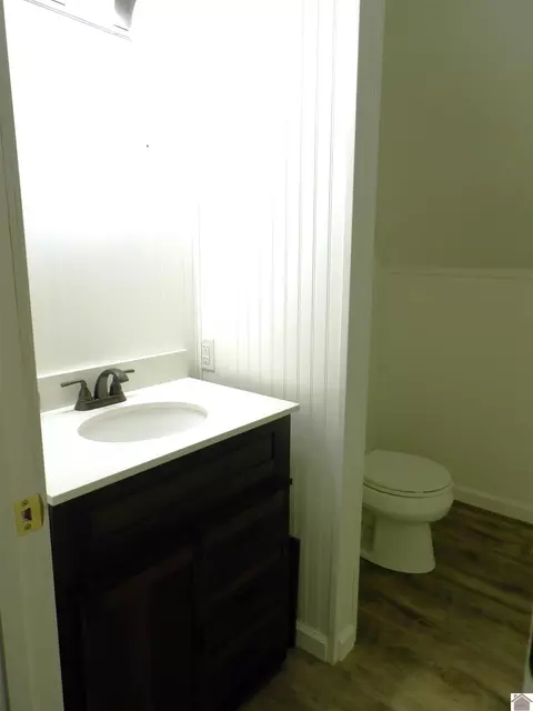 542 Lowes Rd, Cunningham, KY 42035 photo 23