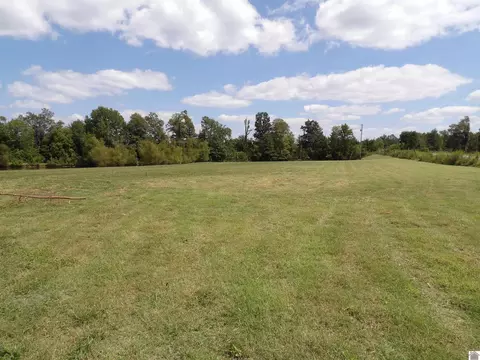 542 Lowes Rd, Cunningham, KY 42035 photo 6