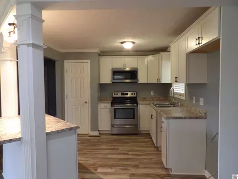 542 Lowes Rd, Cunningham, KY 42035 photo 12