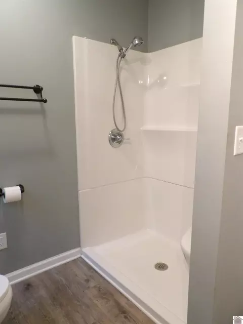 542 Lowes Rd, Cunningham, KY 42035 photo 20