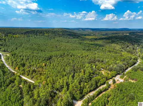 000 State Route 1433 Apt #(LIVINGSTON CO. KY 161), Salem, KY 42078