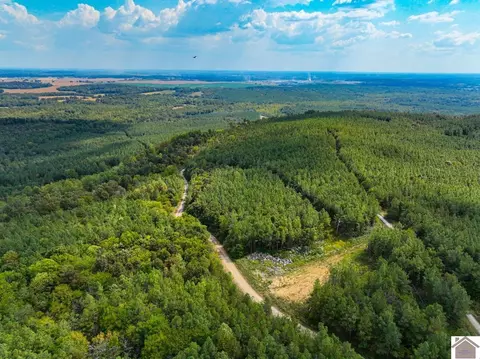 000 State Route 1433 Apt 000 Lookout Tower Rd #000 LOOKOUT TOWER ROAD (LIVI, Salem, KY 42078