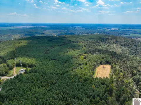 000 State Route 1433 Apt 000 Lookout Tower Rd #000 LOOKOUT TOWER ROAD (LIVI, Salem, KY 42078