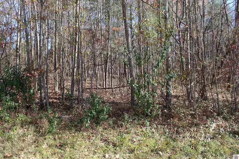 000 Backstrom Heights Rd #LOT 51, Eddyville, KY 42038