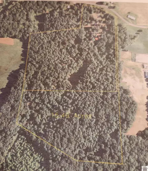 000 Rowlett Trl, Murray, KY 40271