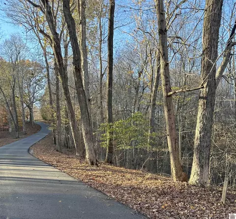 lot56 57 Lisanby Rd, Eddyville, KY 42038