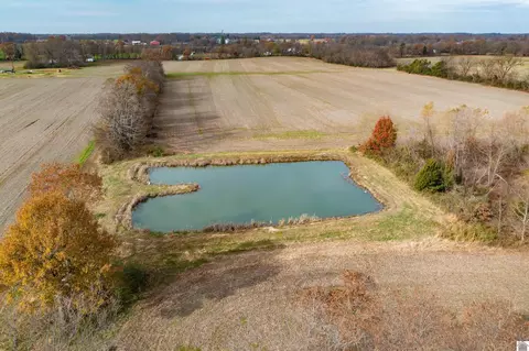 000 Spring Rd, Murray, KY 42071 photo 17