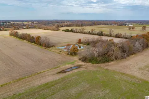 000 Spring Rd, Murray, KY 42071 photo 15