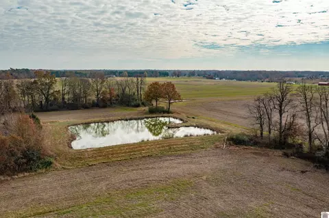 000 Spring Rd, Murray, KY 42071 photo 16