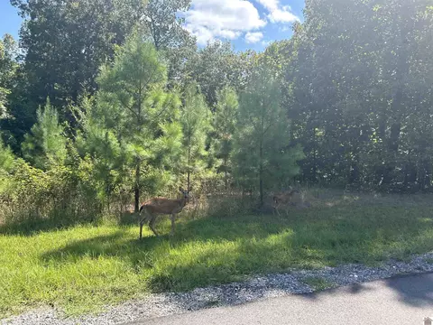 140 Centerview Rd, Murray, KY 42071