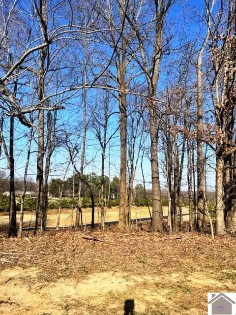 lot87 Forest Ridge Dr, Paducah, KY 42003