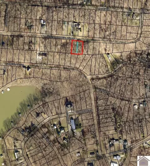 00 Cumberland Dr #LOT S 100 & 101 BARKLEY SHORES I, Cadiz, KY 42211