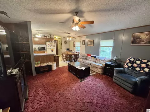 522 Wesley Dr, Murray, KY 42071 photo 6