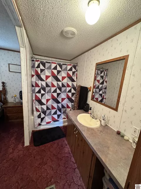 522 Wesley Dr, Murray, KY 42071 photo 16