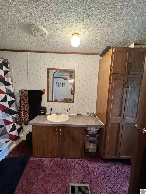 522 Wesley Dr, Murray, KY 42071 photo 15