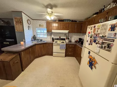 522 Wesley Dr, Murray, KY 42071 photo 10