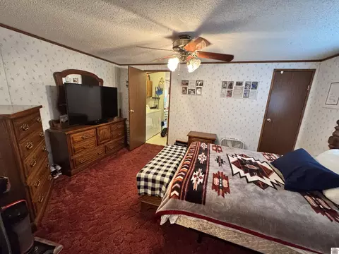 522 Wesley Dr, Murray, KY 42071 photo 14