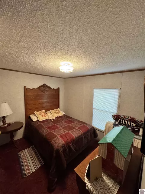 522 Wesley Dr, Murray, KY 42071 photo 3