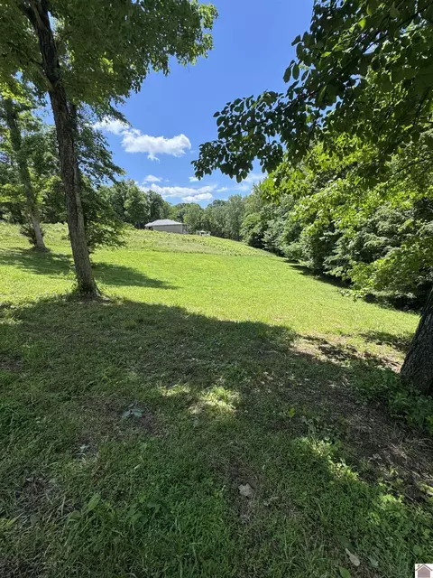 lot Apt 35 E Cobblestone Ct, Kuttawa, KY 42055