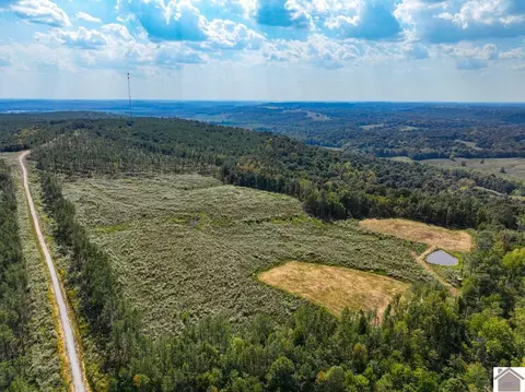 000 Cedar Grove Road Apt #(LIVINGSTON CO. KY 989), Salem, KY 42078