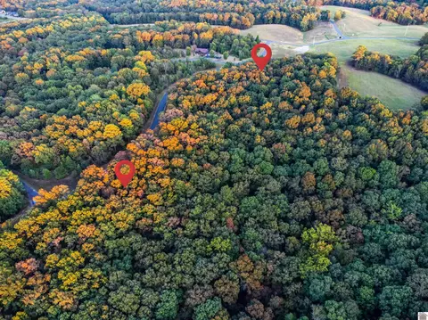 lot79 B Waterfowl, Murray, KY 42071