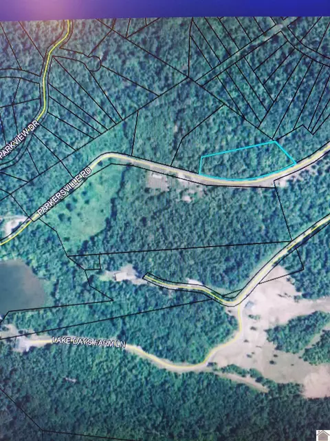 lot6 Patty Acres Parkersville Rd, Eddyville, KY 42038