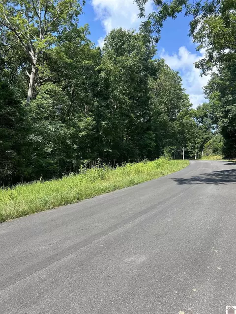 6 Canton Blue Spring Road, Cadiz, KY 42211