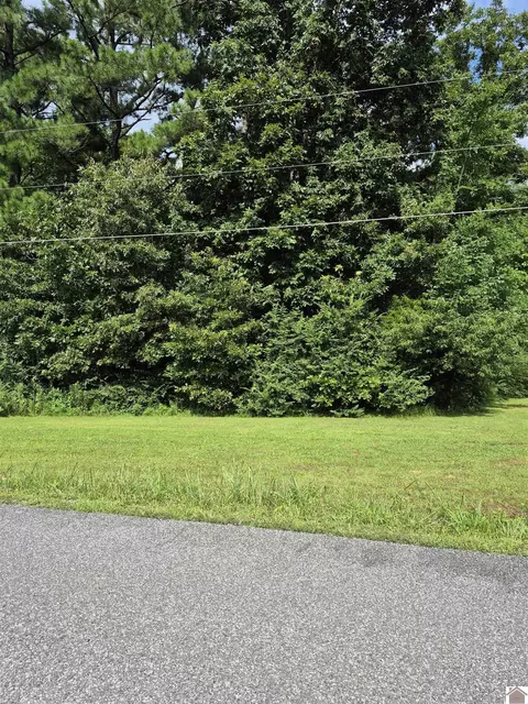 lot Apt 273 Hawkeye Dr, Gilbertsville, KY 42044