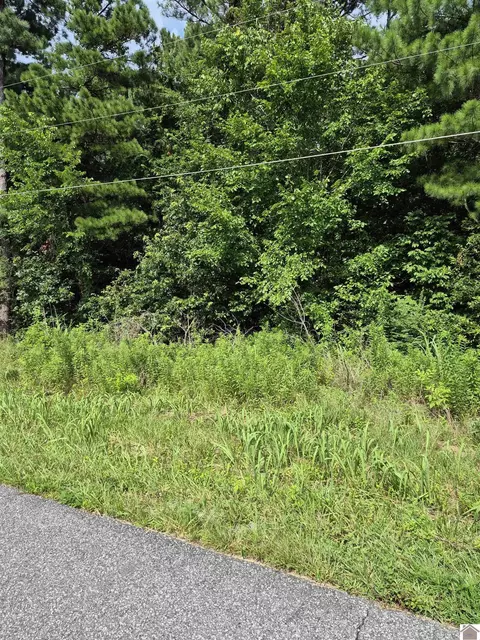 lot Apt 297 Southwood Dr, Gilbertsville, KY 42044