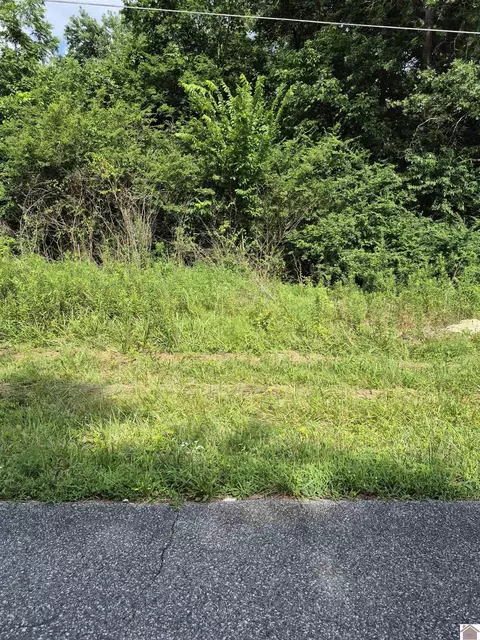 lot Apt 298 Southwood Dr, Gilbertsville, KY 42044