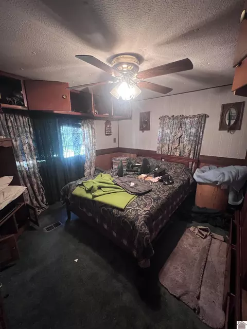 85 Buddy Ln, Murray, KY 42071 photo 22