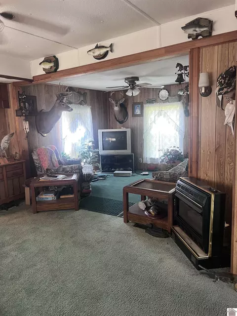 85 Buddy Ln, Murray, KY 42071 photo 6