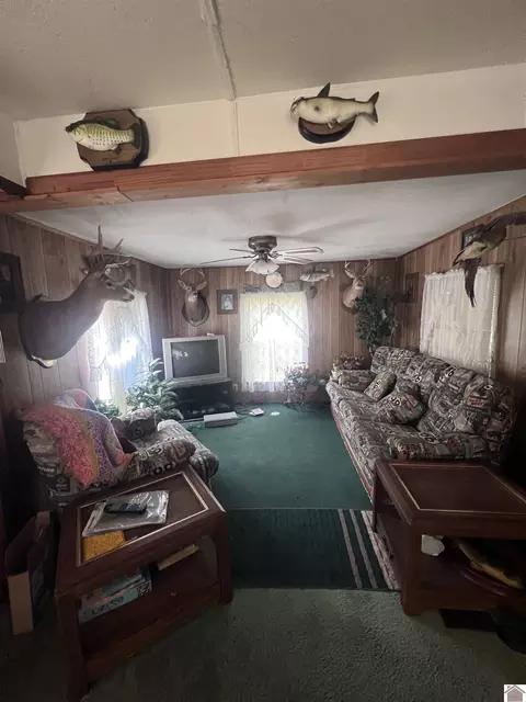 85 Buddy Ln, Murray, KY 42071 photo 9