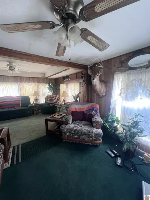 85 Buddy Ln, Murray, KY 42071 photo 10