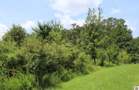 lot58 Kirk Ridge Rd, Murray, KY 42071