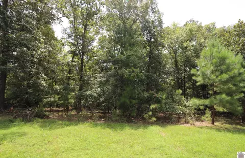 lot46 Waterfowl Ln, Murray, KY 42071