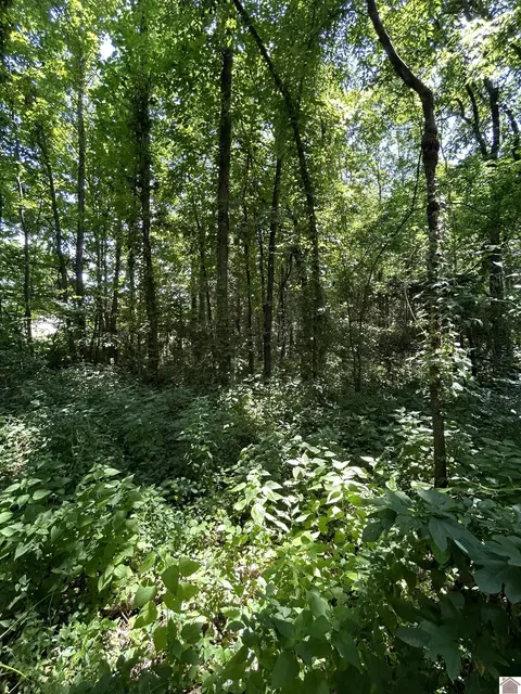 000 Maple Ln, Cadiz, KY 42211