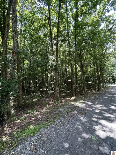 000 Cedar Ln, Cadiz, KY 42211