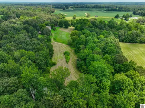 226 Reid Ln, Symsonia, KY 42082