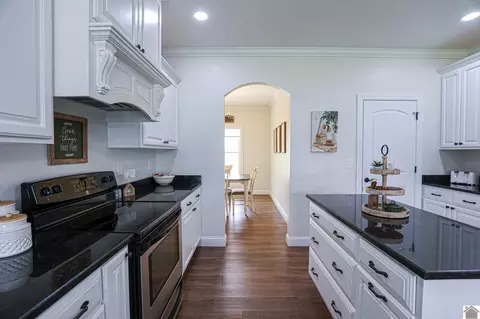 Kitchen - 2497 Lowes Rd, Cunningham, KY 42035 photo 4 of 7