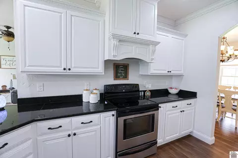 Kitchen - 2497 Lowes Rd, Cunningham, KY 42035 photo 3 of 7