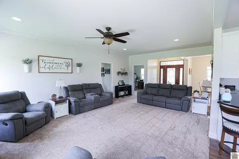 Other - 2497 Lowes Rd, Cunningham, KY 42035 photo 5 of 14