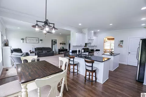 Other - 2497 Lowes Rd, Cunningham, KY 42035 photo 6 of 14