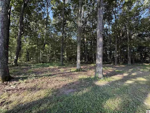 Exterior - 715 Shoemaker Rd, Murray, KY 42071 photo 10 of 14