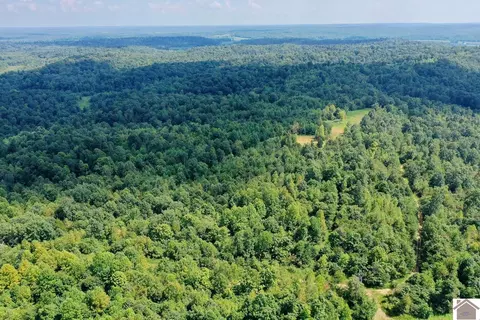 0 Donahue Rd, Princeton, KY 42445