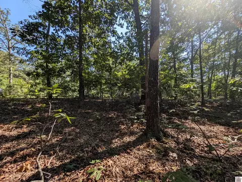 lot130 Eagle Look Ln, Murray, KY 42071