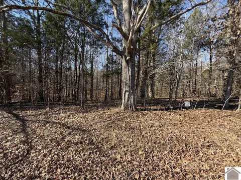 lot46 Bayridge Rd, New Concord, KY 42076